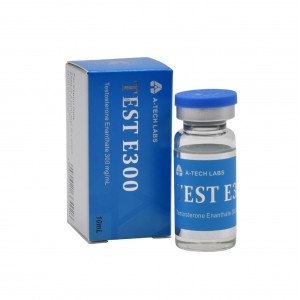TEST E300