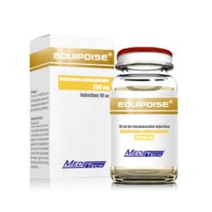 EQUIPOISE EQUIPOISE