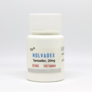 TAMOXIFEN (Nolvadex)10mg x 100 tabs
